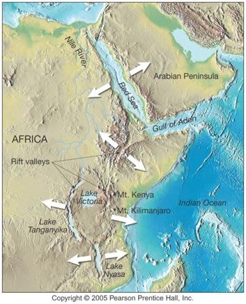 Margini divergenti Zone di Rift (divergenza su continente) Rift Est Africano Rift
