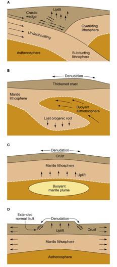 Fattrori che controllano il sollevamento Possiamo identificare diversi meccanismi di