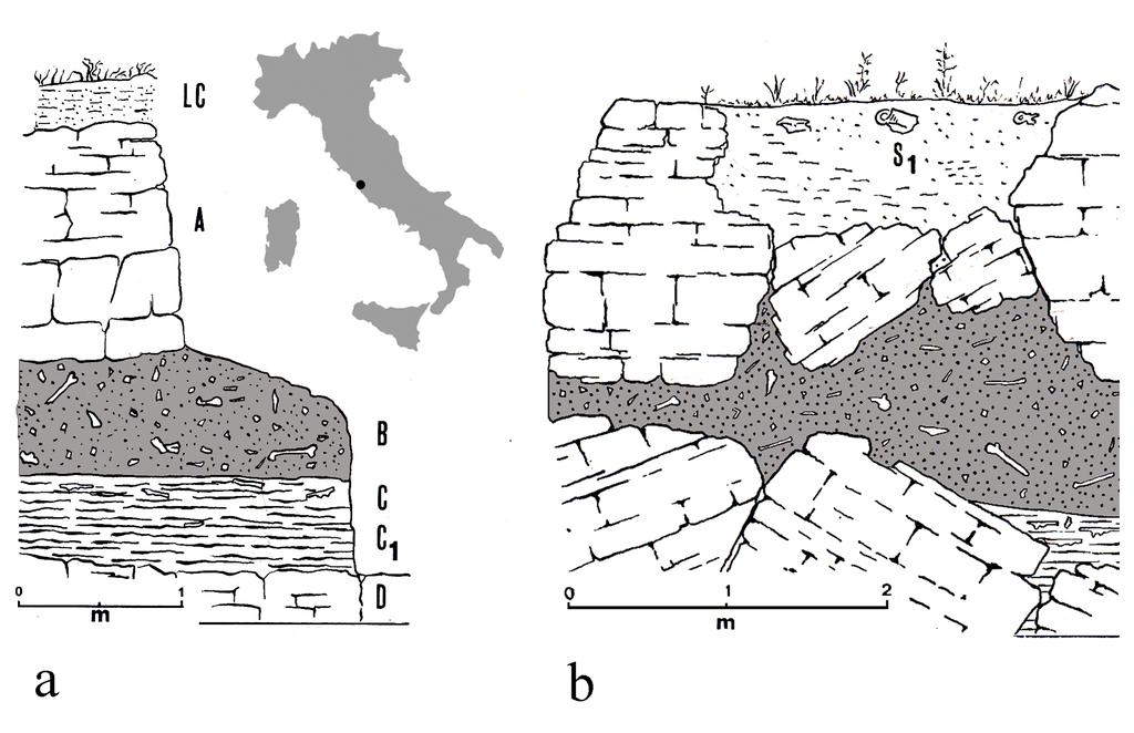 2 F.D. Ruiu, A. Tagliacozzo Figura 1: Palidoro. Localizzazione del sito. a) Stratigrafia saggio Cassoli; b) Stratigrafia scavo Chiappella. (Riprese e rielaborate da Cassoli 1976-77, pp. 188-189).