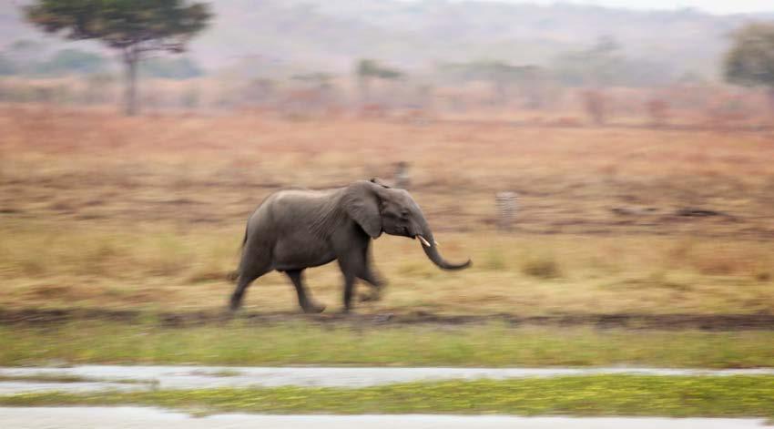 TANZANIA