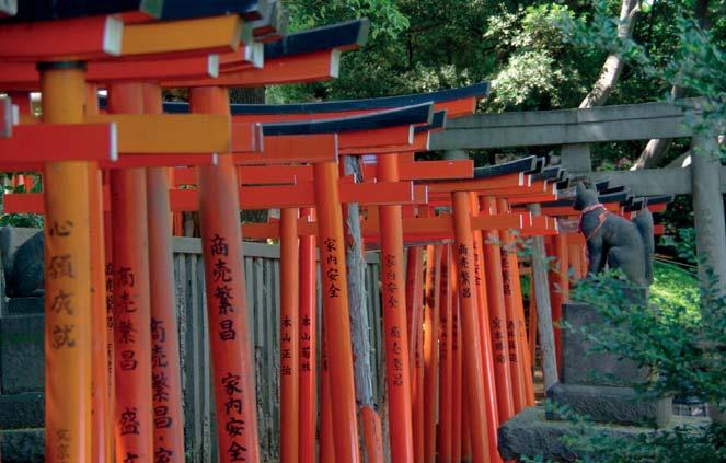 È prevista la visita al quartiere di Arashiyama con l incantevole foresta di bambù, il Tempio d Oro, il quartiere di Gion che rimanda alle Memorie di una Geisha, l area di Higashiyama e il tempio
