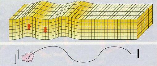 Le onde trasversali: si possono immaginare come onde ottenute facendo oscillare dal basso verso l alto una fune, ancorata ad un estremità sono anche dette secondarie (S) la loro