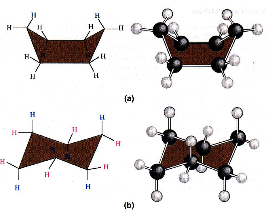 Cicloesano: strutture a barca e sedia Questi due protoni tendono a respingersi Conformazione a barca Conformazione a sedia Non si hanno