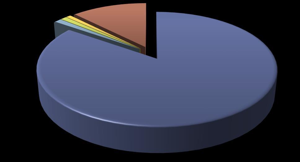 ESITI - TSA - Endovascolare Frequenza OK 529 84,8 96,7 96,7 COMPLICANZE LOCALI VASCOLARI 7 1,1 1,3 98 COMPLICANZE SISTEMICHE NON VASCOLARI 6 1 1,1 99,1 COMPLICANZE LOCALI NON VASCOLARI 5 0,8 0,9 100