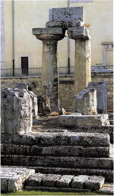 Fig. 7 Siracusa. Tempio di Apollo: colonne ed elemento dell architrave (da nord).