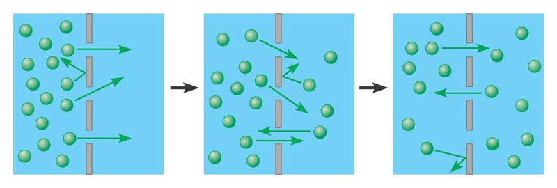 5.12 Le sostanze possono diffondere attraverso le membrane Nel trasporto passivo (diffusione), le sostanze diffondo attraverso le membrane senza che le cellule compiano