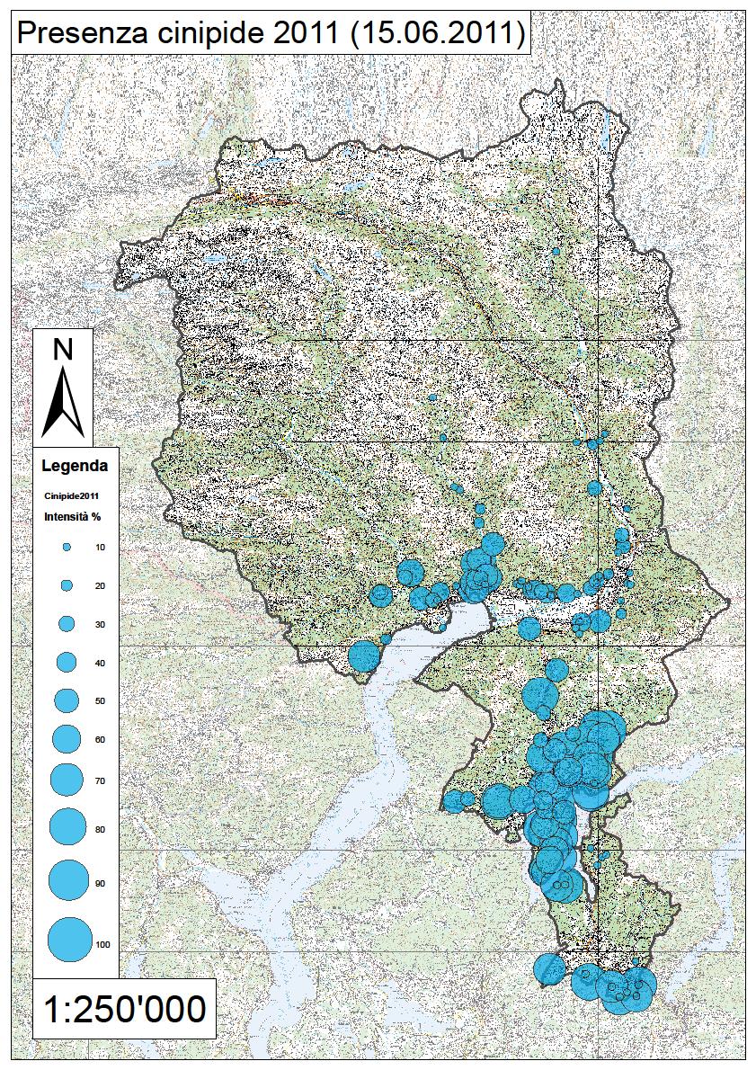 CINIPIDE DEL CASTAGNO Prospettive Situazione nel 2011,