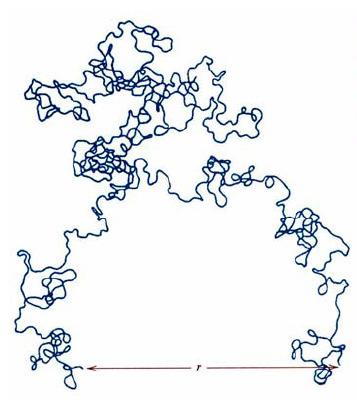 possibilità dei legami di ruotare le molecole