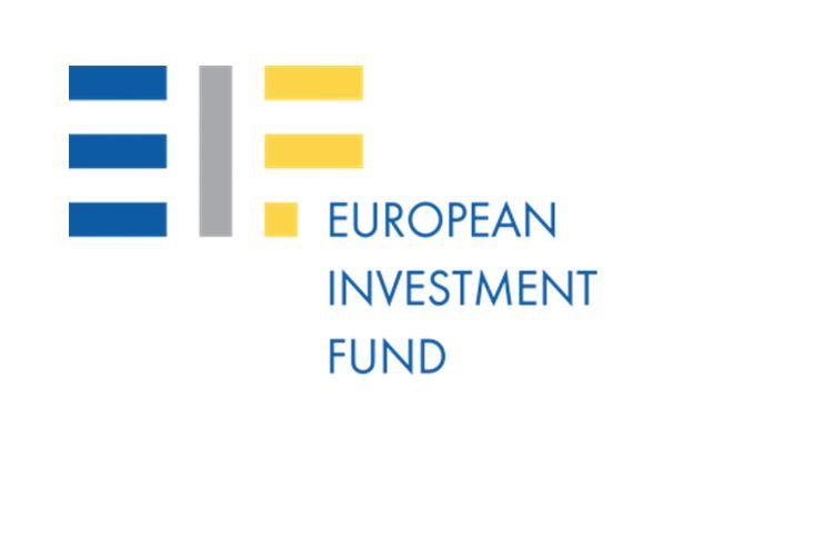 Il Gruppo BEI Eroga finanziamenti e consulenza