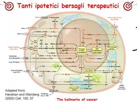 Nuovi farmaci oncologici Farmaci cosiddetti «biologici»o Target therapies: anticorpi monoclonali piccole molecole che interagiscono con