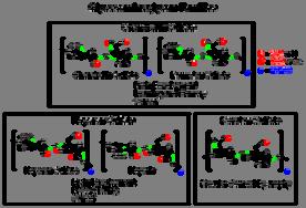 Il glicosaminoglicano è quindi costituito dalla ripetizione per un elevato numero di volte di un unità