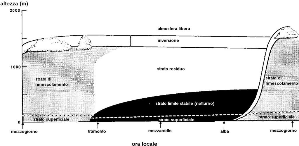 struttura ed evoluzione