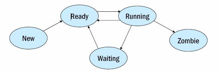 Stato di un processo Creazione di un processo tramite la chiamata di sistema fork() soltanto da un processo già attivo percio si crea una gerarchia di processi (albero) Terminazione di un