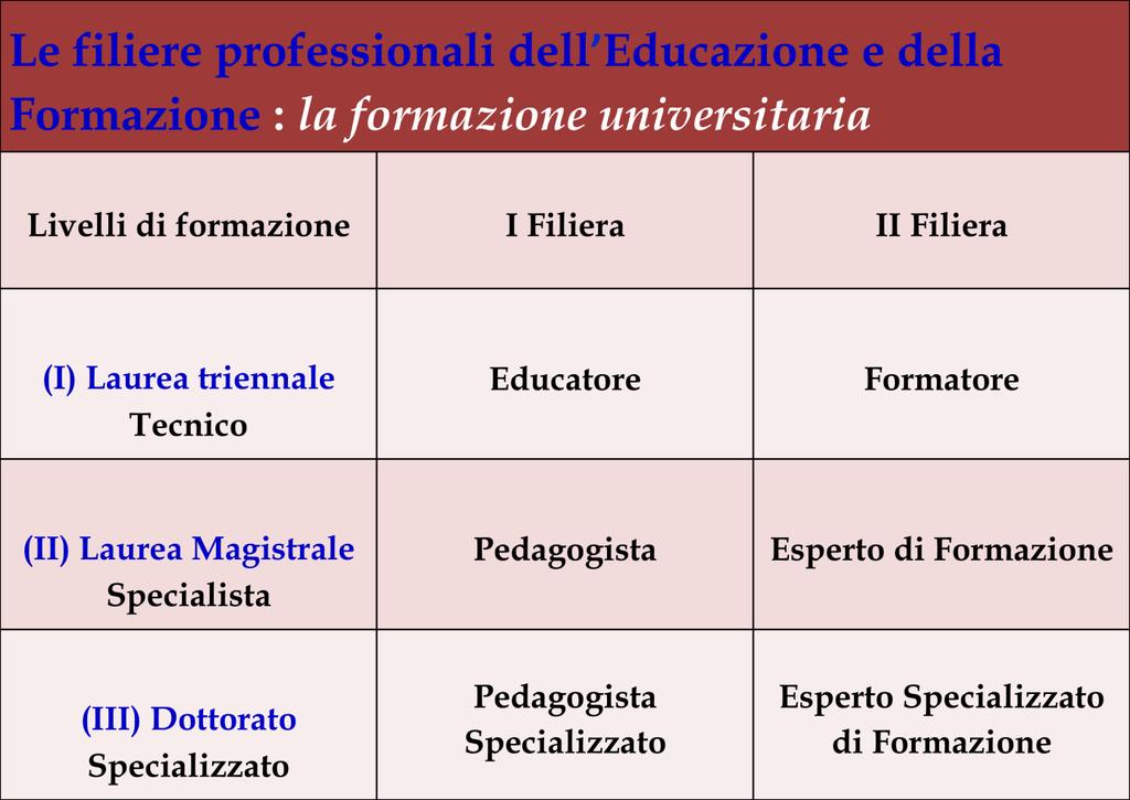 In base al dibattito del Tavolo università/associazioni, ai contributi del Gruppo SIPED sulle professioni educative/formative, alla ricerca PRIN sul riconoscimento delle medesime professioni ed a