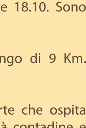 del Parmigiano - Reggiano civiltà contadine e artigiane della