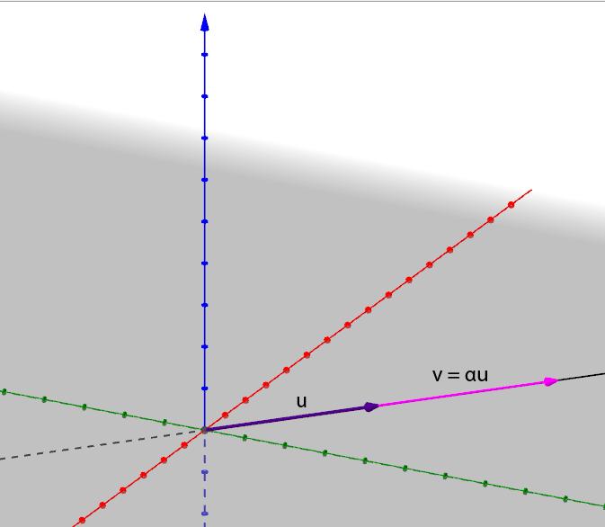 Definizione (Span di un vettore) Fissato un vettore non nullo u E 3 O, possiamo considerare l insieme di tutti i vettori