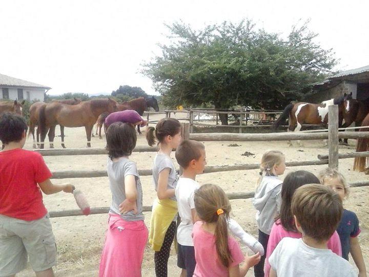 piccoli animali della fattoria e ai cavalli.