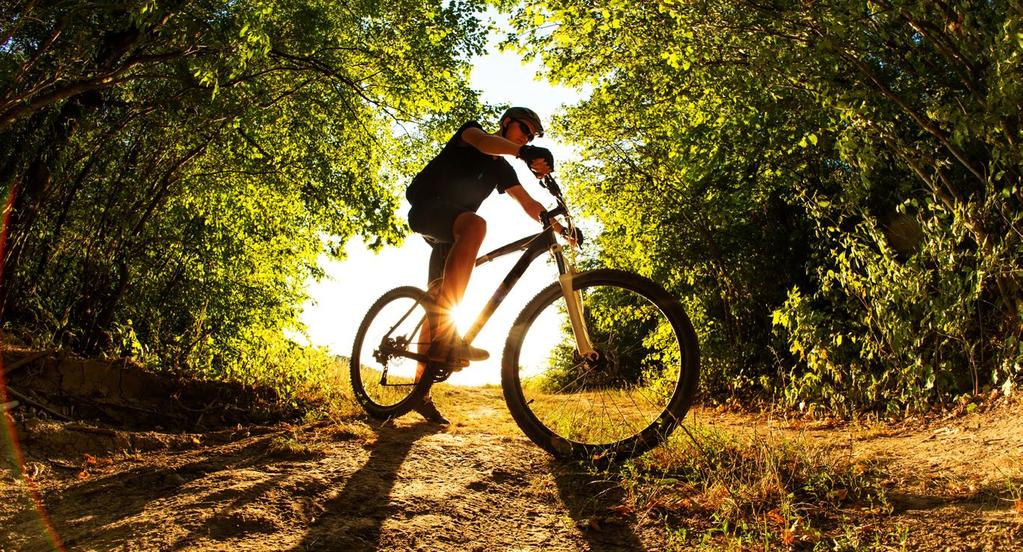 E-bike & Mountain bike Vieni con noi a provare le E-Bike, le mountain bike a pedalata assistita di ultima generazione grazie alle quali tutto diventa più facile, divertente ed accessibile!