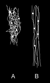 Elastomeri Non fondono Non sono solubili Si rigonfiano Sono usati