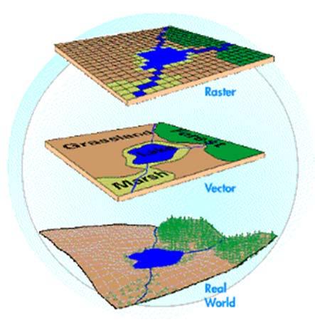 Modello vettoriale e modello raster La cartografia raster è una