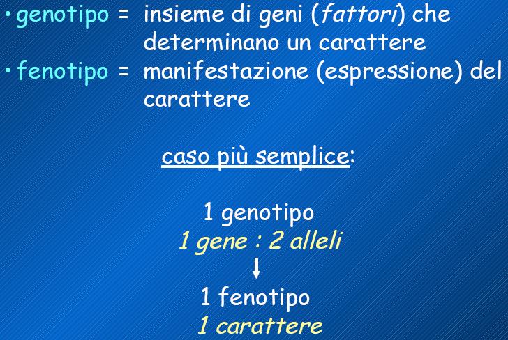 Genotipo