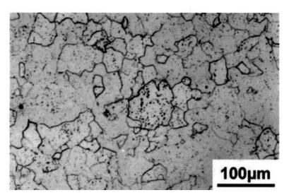 Le leghe di titanio CP Titanium Microstruttura del titanio CP grado 3 dopo