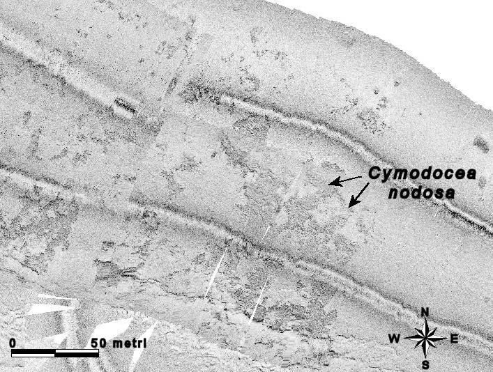 Fig. 4. Foce Entella.