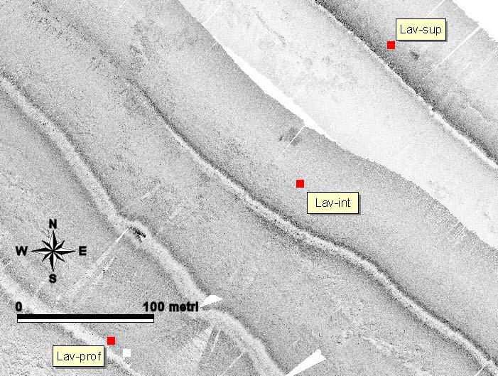 Delbono et al. (2003, in questo volume), le immagini SSS corrispondenti ai punti di prelevamento del transetti Chiavari, Lavagna e Sestri Levante (Fig. 7,