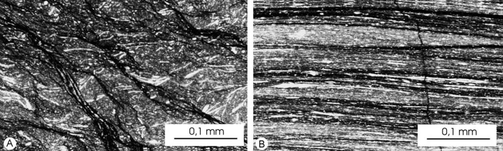 ASSETTO GEOLOGICO DELLA FALDA TOSCANA AD OVEST DEL MONTE AMIATA 455 Fig.