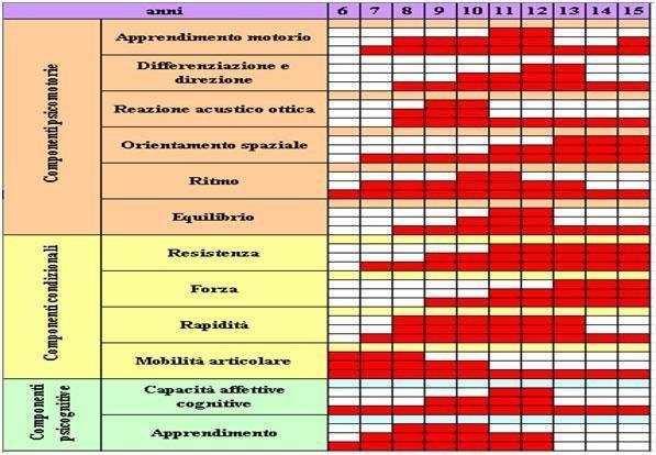 Es. Risulterebbe inutile lavorare sulla forza con ragazzi di 9-10 anni. E fondamentale invece lavorare sulla rapidità. Le funzionalità di base si verificano con dei test (es.