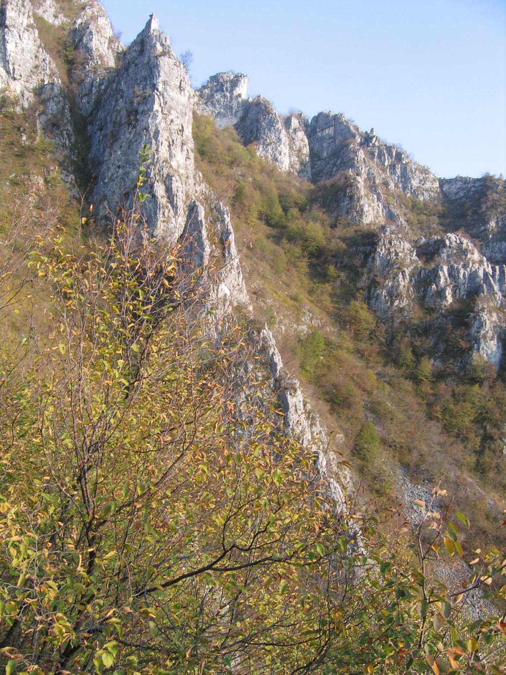 ANGELO CHEMIN LA MERIDIANA NATURALE