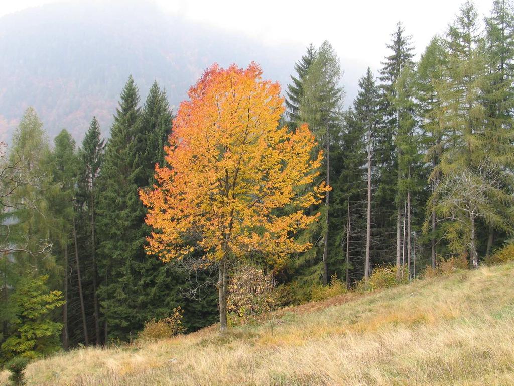 La tutela della biodiversità passa anche attraverso azioni concrete che diversi soggetti