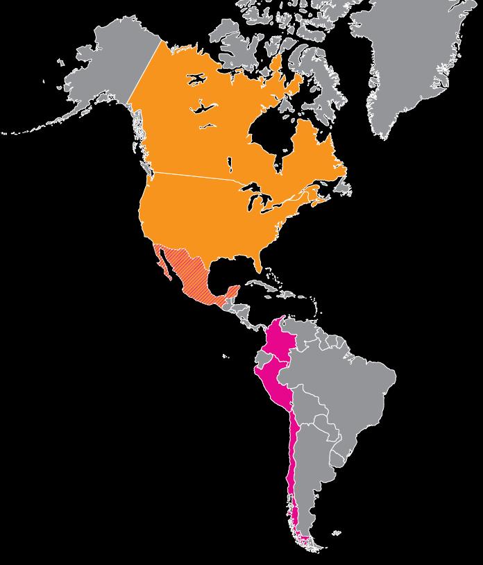 MESSICO: PORTA DI INGRESSO IN AMERICA Il Messico è un potenziale socio strategico, non solo per la dimensione del suo mercato, ma anche per i suoi legami con altri