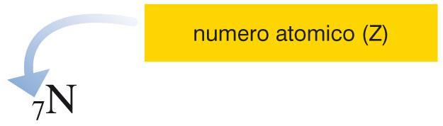 6. Il numero atomico I nuclei di atomi diversi presentano diversa carica positiva, quindi contengono un diverso numero di protoni.