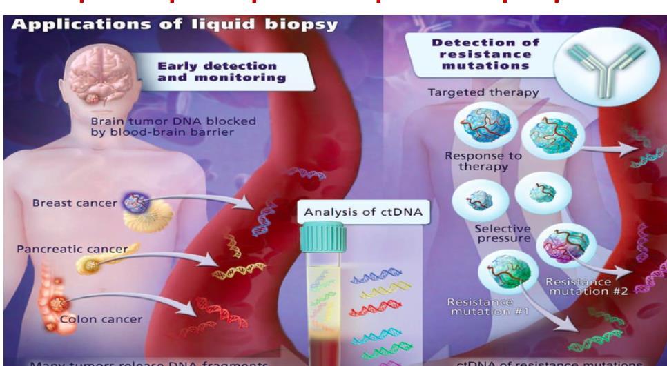 Liquid biopsies open a complete new perspective ctdna is a direct measurement of