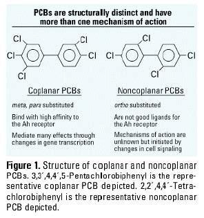 PARTE 1: I POLICLORO BIFENILI Cenni storici I PoliCloroBifenili (PCB) sono composti chimici artificiali.