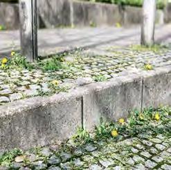 collegare gli ugelli WR 20 o WR 50 all'idropulitrice ad acqua calda e passare sulla zona da ripulire: senza usare erbicidi