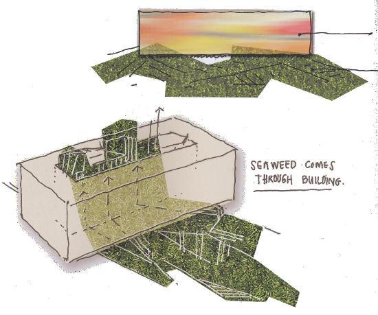 progetto e sostiene che gli schizzi realizzati a più mani, e