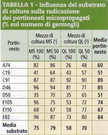 Esistono diversi programmi di miglioramento genetico per selezionare dei portinnesti di pero dal vigore controllato.