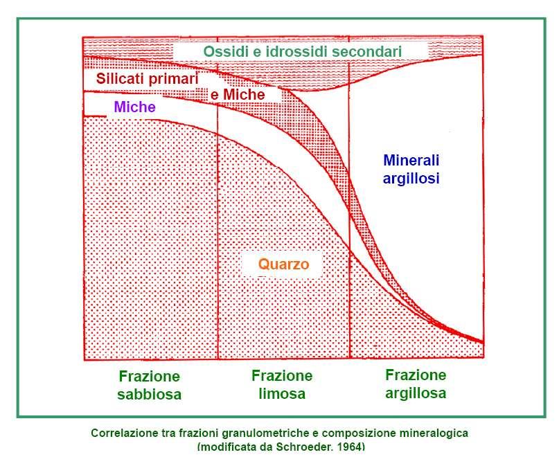 Assortimento granulometrico e mineralogia della frazione inorganica Esiste in genere una correlazione tra le