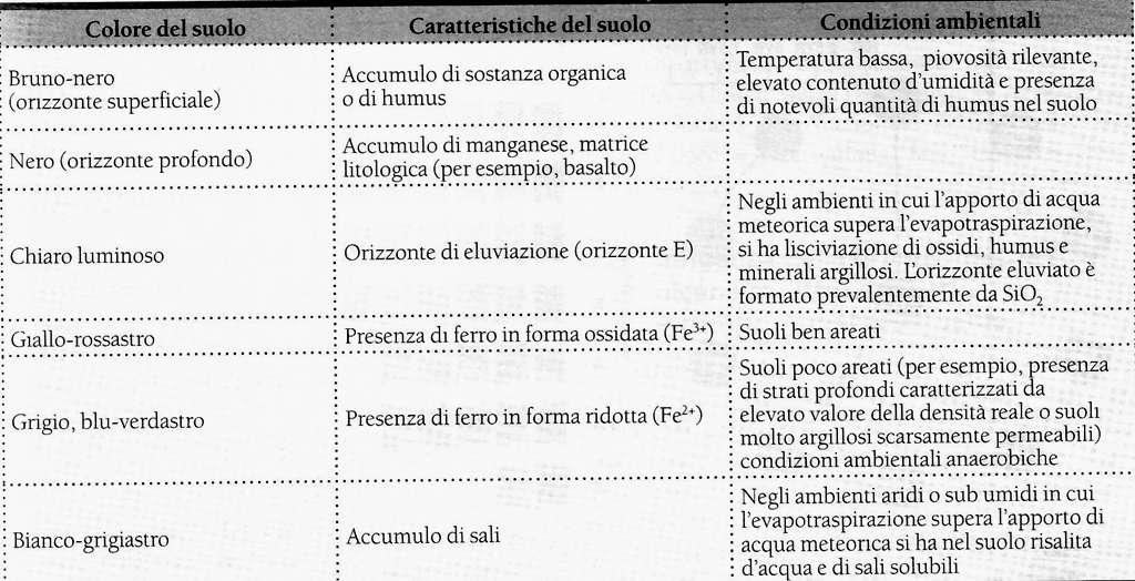 Il colore del suolo Rappresenta la caratteristica fisica più evidente e più facilmente