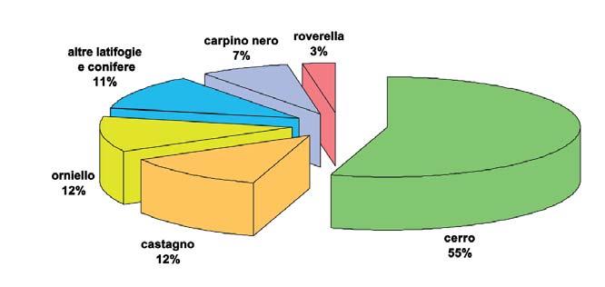 Grafico 11 - Ripartizione della composizione spe cifica per le Cerrete Grafico 12 - Ripartizione della composizione volumetrica per le Cerrete.