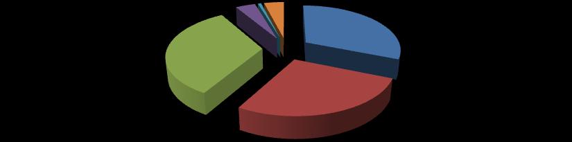 Il campione (settore di attività) 4% 1% 4% 31% 33% 27% Cooperazione Internazionale, compresi SAD e Adozione Internazionale Salute e