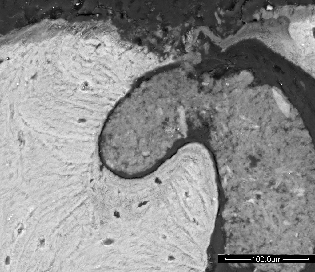 biomateriali biomateriale Fig.