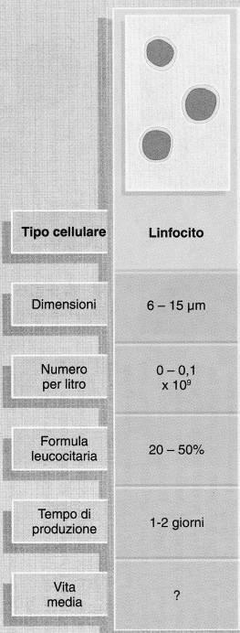 sferico 20-30% Granuli