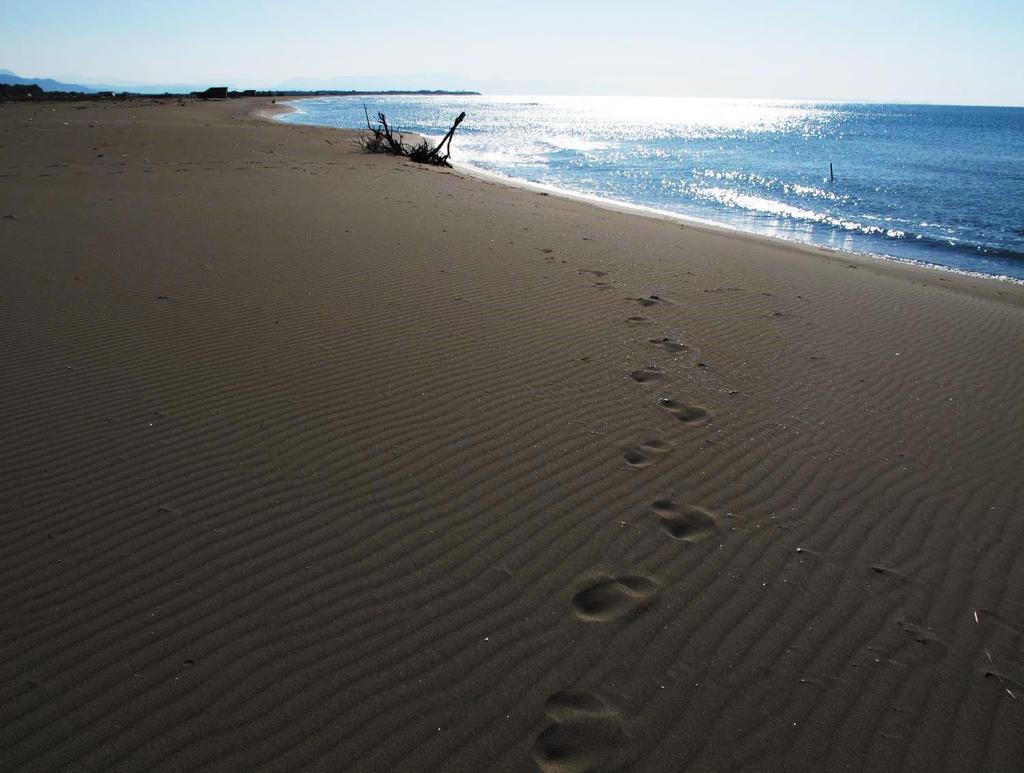 Spiaggia