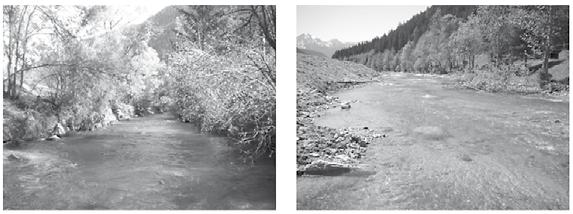 Daniela Campana, Francesco Comiti Following the occurrence of large flood events in the mid-1960s, the Antholz River was heavily channelized throughout its course and rectified where formerly was