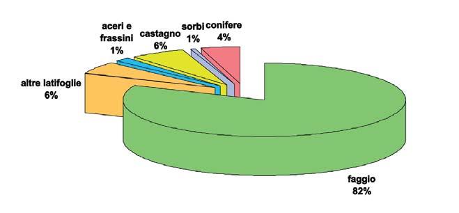 Caratteristiche dendrometriche composizione e struttura La Tipologia dei boschi di faggio presenti in Liguria è correlata al gradiente di fattori climatici (temperatura, precipitazioni) ed edafici
