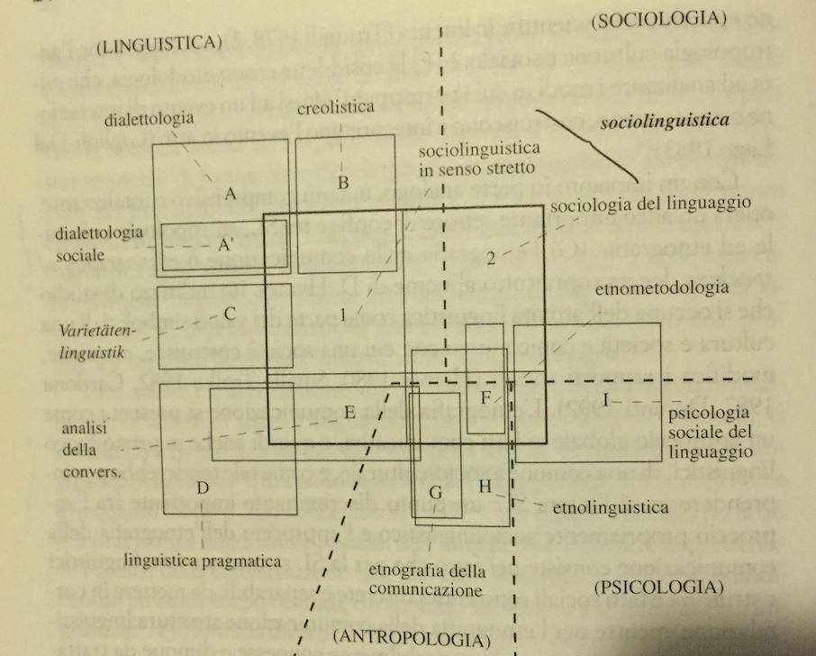 Sociolinguistica Elementi in gioco: Linguaggio Società La SL non si configura come un aggregato di linguistica e sociologia, bensì come una prospettiva sul linguaggio nella società, una linguistica