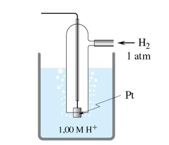 superficie spugnsa del platin adsrbe l'idrgen gasss; quindi tra l idrgen adsrbit all elettrd e gli ini H + della sluzine si stabilisce csì l'equilibri: 2H + (aq) + 2e H 2(g) Pt H 2 HCl ( g, p1bar ) (